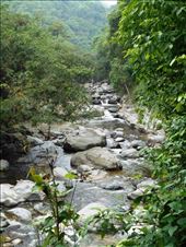 Picturesque rainforest.: by jorjejuanita, Views[326]