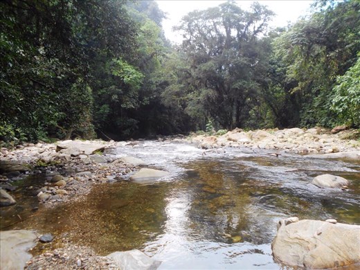 Our favourite swimming hole.