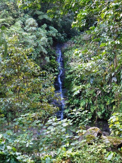 Complete with waterfall.