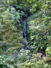 Complete with waterfall.: by jorjejuanita, Views[320]
