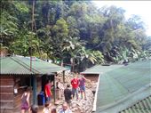 Base campsite - 1km away from the Lost City at the top of the next mountain. Bunk beds with mosquito nets under the hut. If you hiked to slow you missed out and had to sleep in the hammocks that were left.: by jorjejuanita, Views[330]