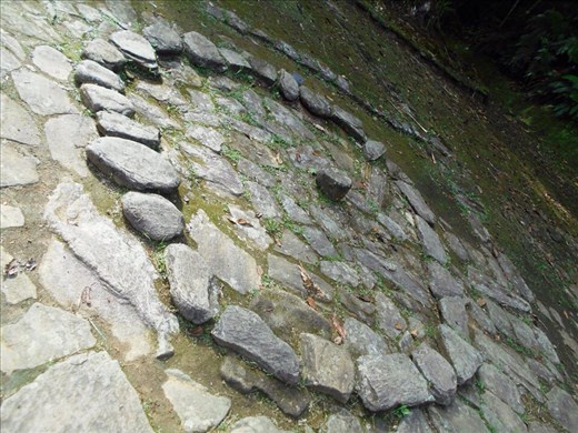 The ruins. 'Rings' of what's left of the houses. There's ~150 of them over the mountain, 1000 people lived in the city.