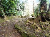 The ruins.: by jorjejuanita, Views[162]
