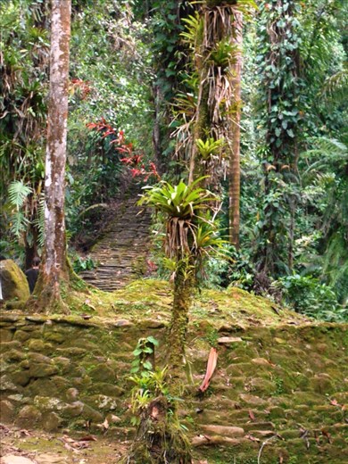 More levels and steps in the Lost City.