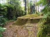 'Ring' ruins of the houses.: by jorjejuanita, Views[185]