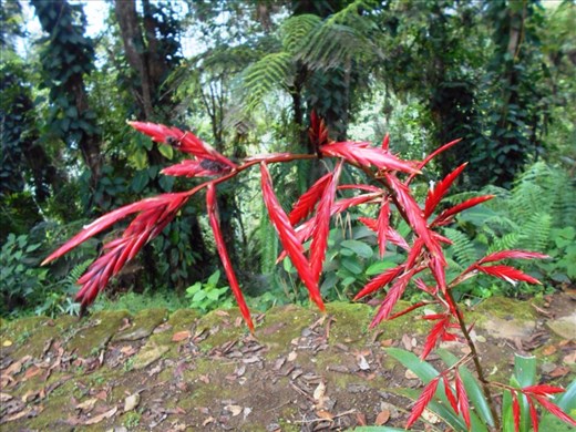 Pretty just to look at.