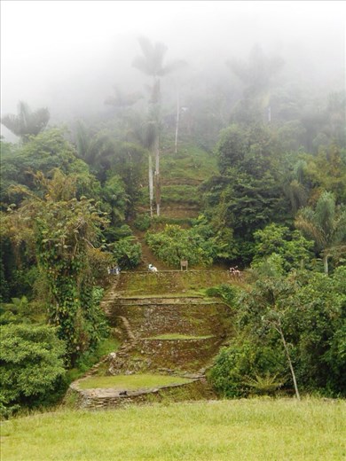 The top of the mountain, looking up from a terrace below. Just disappears into the clouds.