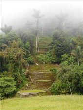 The top of the mountain, looking up from a terrace below. Just disappears into the clouds.: by jorjejuanita, Views[194]