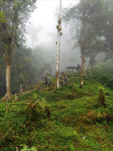 Well disguised, but in between the trees are the military guys, camping on top of the mountain. Protecting the Lost City ruins. We gave them our snacks (biscuits and lollipops) which they very heartily accepted.