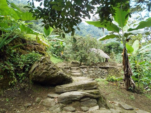 Exploring the Lost City.