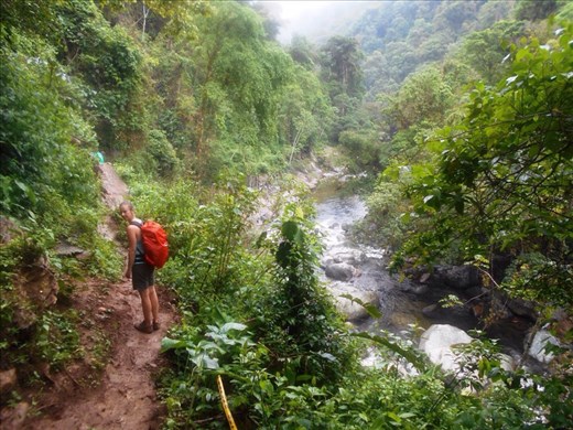 Juanita on the trail. Pretty sure it was raining (every afternoon it did) in this pic too.