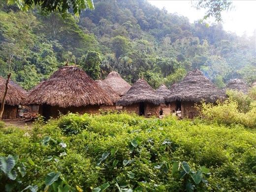 Town of the Kogi locals.