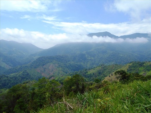 Save this one as your desktop picture. Beautiful. 