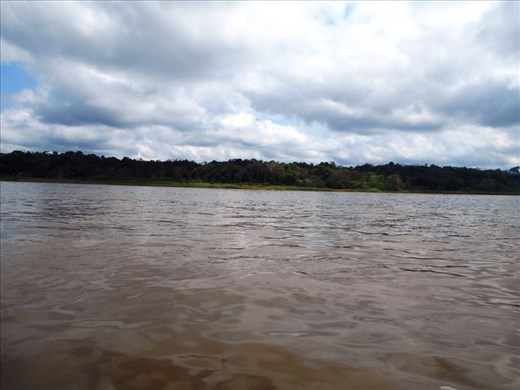 The Amazon river. It's really brown ! It's not a sparkly green or blue as you might imagine it to be.