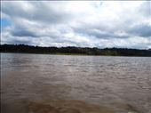 The Amazon river. It's really brown ! It's not a sparkly green or blue as you might imagine it to be.: by jorjejuanita, Views[308]