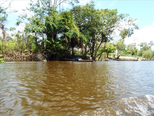 Tootling along the Amazon river.