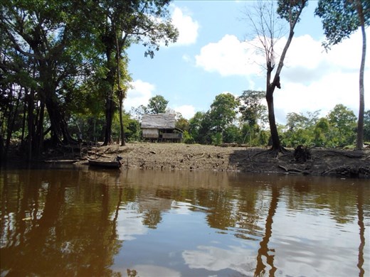Wooden huts by the locals. Rebuilt every seven - ten years once they have rotted too much from the moisture and water levels.