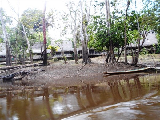 Our lodge in the jungle.
