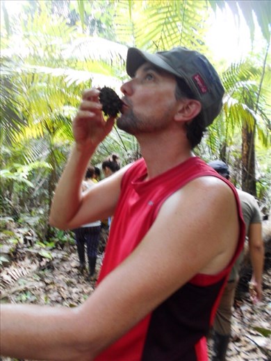 Refreshing jungle beverage, Jorge drinking from Ivory Palm seeds.
