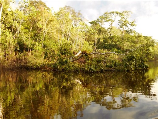 Stunning lake we were on for fishing.