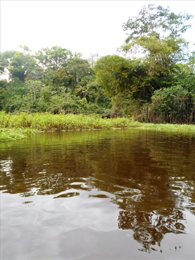 Heading further up the river to camp out in the jungle in hammocks.
