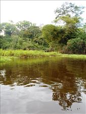 Heading further up the river to camp out in the jungle in hammocks.: by jorjejuanita, Views[299]