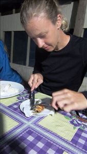 by jorjejuanita, Views[263]