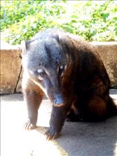 by jorjejuanita, Views[218]