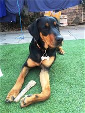 by jorjejuanita, Views[493]