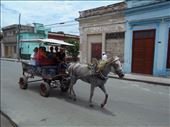 The locals getting around. Big strong horses that's for sure.: by jorjejuanita, Views[258]