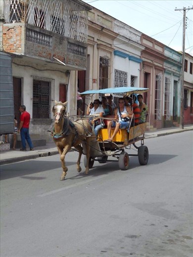 Big load for a little donkey.