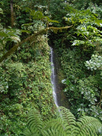 A baby waterfall, on the hike to the big one Rio Catarata.