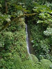 A baby waterfall, on the hike to the big one Rio Catarata.: by jorjejuanita, Views[199]