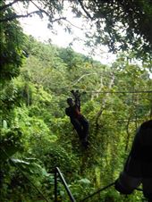 Juanita on a zip-line.: by jorjejuanita, Views[520]