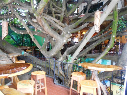 Bizarre restaurant, in a tree house. Great pizza and Costa Rican coffee after a big day zip-lining through the forrest canopy.