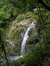 Walked through Manuel Antonio forest (to get to the beach on the other side) and found a waterfall. : by jorjejuanita, Views[444]