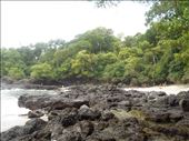 Forest, beach sand, rocks, sea water all in one place.: by jorjejuanita, Views[386]