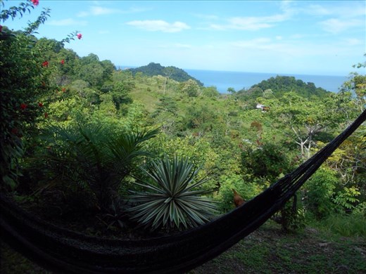 The view from our apartment front door.