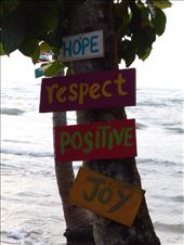 Do what the sign in the tree says :-): by jorjejuanita, Views[405]