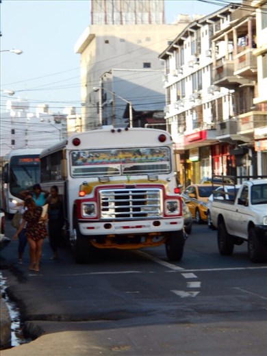 The craziest local bus service you've ever seen. Always decorated in disco lights and blaring music from them.