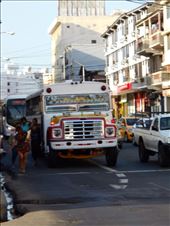 The craziest local bus service you've ever seen. Always decorated in disco lights and blaring music from them.: by jorjejuanita, Views[545]