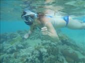 Juanitafish, a new species: by jorjejuanita, Views[261]