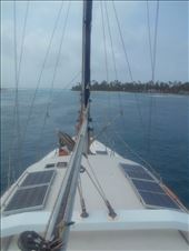 View from the roof, a favourite sunbathing and bombie spot: by jorjejuanita, Views[528]