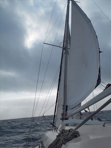 The Amande under sail.