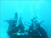 Jorje and Juanita, new dive buddies: by jorjejuanita, Views[270]