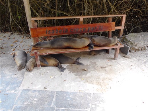 The whole gang together, cant help but make you smile.