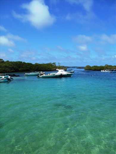 Playa concha on Isabella