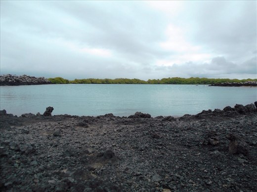 Stunning lagoon at Isla Tinteros. We snorkled in here with seals, turtles, sharks and penguins. Amazing experience