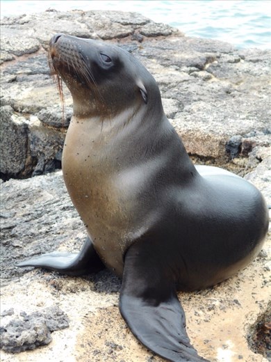 This is my profile shot