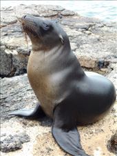 This is my profile shot: by jorjejuanita, Views[165]